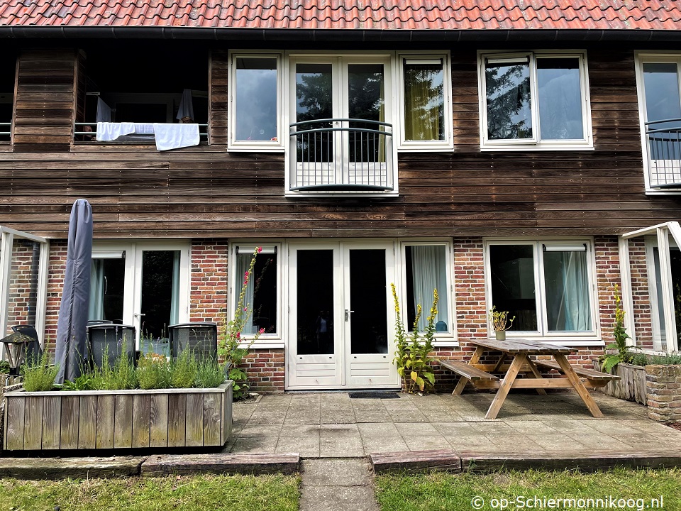 Berk in Boszicht, Frühling auf Schiermonnikoog