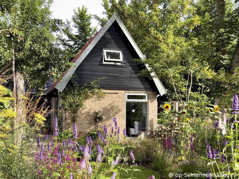 Aanwas, Ferienhaus auf Schiermonnikoog für 2 Personen