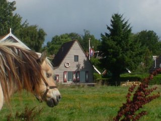 Kom Yn, Ferienhaus auf Schiermonnikoog für 6 Personen