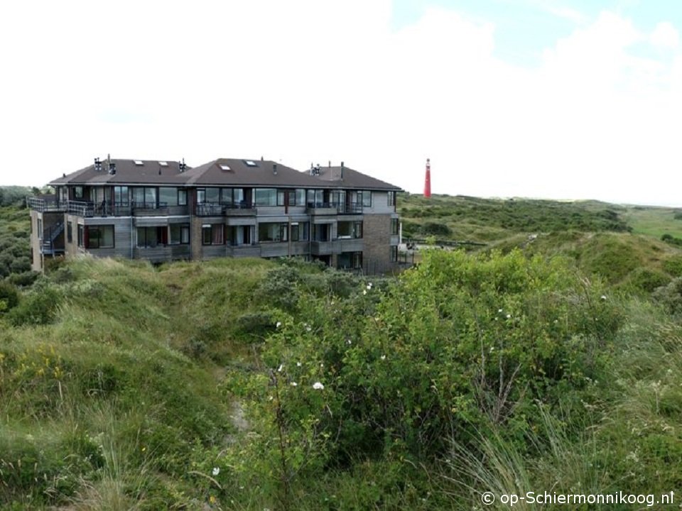 Noderstraun 64, Kultur auf Schiermonnikoog