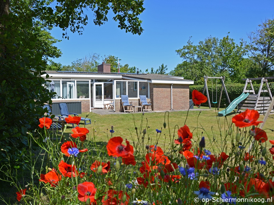 Goudfazant, Ferienhaus auf Schiermonnikoog für 6 Personen